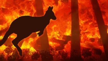 Australian Wildfires deliberately brought about – Wake Up Or Die!